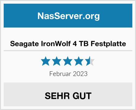  Seagate IronWolf 4 TB Festplatte Test